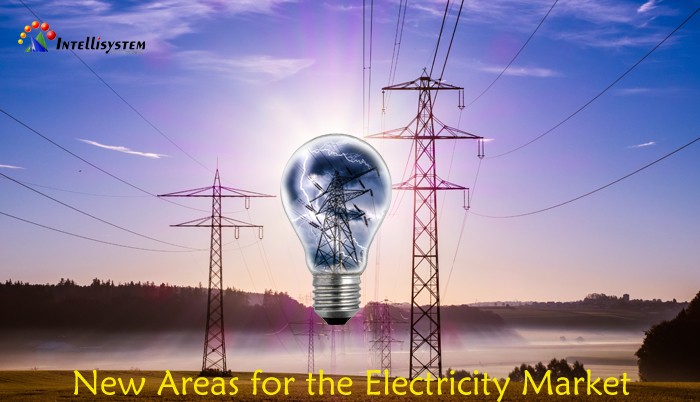 New Areas for the Electricity Market: Intervista “Nuovi Settori per il Mercato Elettrico”